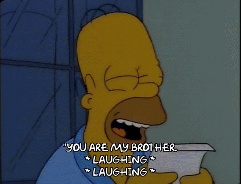 You Were My Brother Meme