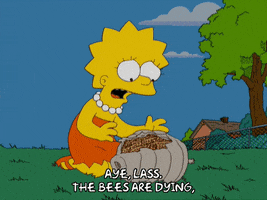 Lisa Simpson Bees GIF by The Simpsons
