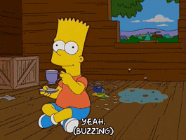 200.gif?cid=fc005b088c9786aa86f4d4117aa70cd1437e1efbc1c30359&rid=200.gif&ct=g