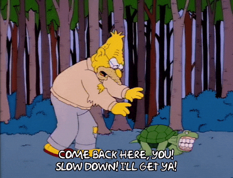 giphy.gif?cid=790b7611299087ff50486f4ac0