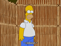 Homer Simpson Beer Gif Find Share On Giphy