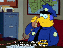 200.gif?cid=fc005b084eaddd2accd0248ccf01d90e05ab058e925f7682&rid=200.gif&ct=g