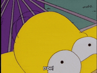 Homer Simpson Doh Gif Find Share On Giphy