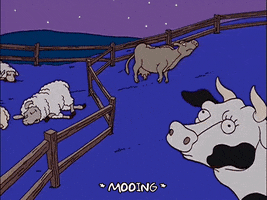 episode 11 cows GIF