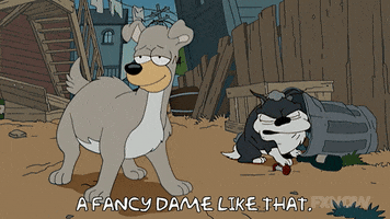 200.gif?cid=fc005b083c9a0211d80b0395370419cc0b98c6002a624acb&rid=200.gif&ct=g