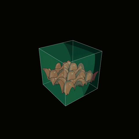 GIF by svensjorokanich