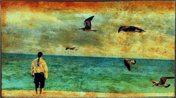 carlisle carlisle antonio beach color GIF