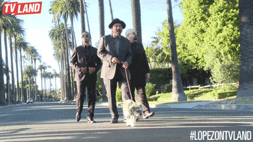 george lopez dogs GIF by TV Land