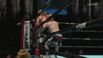 vitaliykostyrenko suplex shibata zst shinichi taira GIF