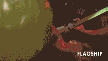 Flagship music indie indie rock flagship GIF