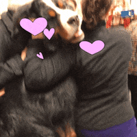 Westminster Dog Show Love GIF by Westminster Kennel Club