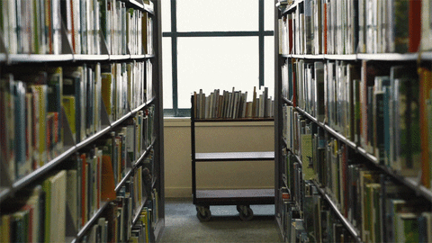 Buku Perpustakaan Dikembalikan Usai 110 Tahun Dipinjam!