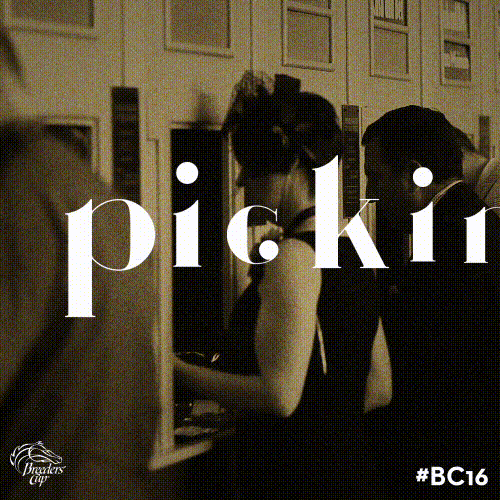 Breeders Cup GIF by CTPBoston