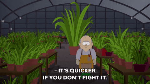 Greenhouse Gifs Get The Best Gif On Giphy