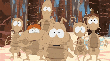 ants dancing GIF by South Park 