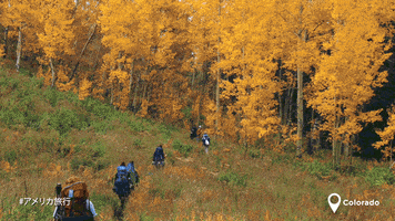 Great Outdoors Fall GIF by Go USA Jp