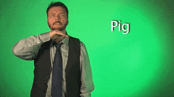 sign language pig GIF by Sign with Robert