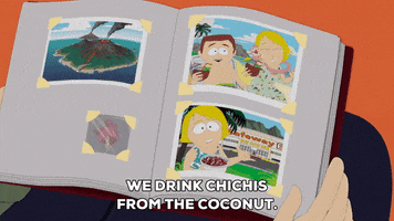 pictures trip GIF by South Park 