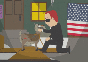 flag GIF by South Park 
