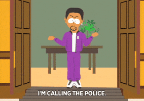 police african GIF by South Park 