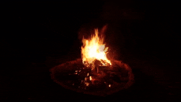 Fire Burn GIF by Quote Catalog