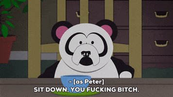 angry panda GIF by South Park 