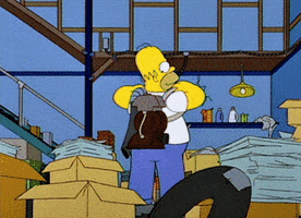 dodivecchioni homer simpson 5x17 pulizie GIF