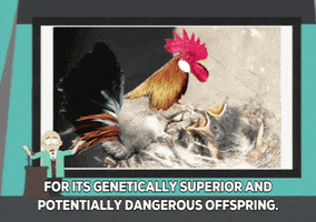 200.gif?cid=fc005b0891bf03068b8952a17c57cc5c8a200d1fbf16c4b3&rid=200.gif&ct=g