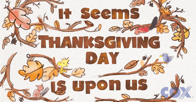 Ad gif. Illustrated autumnal tree branches with falling leaves surrounds text that reads "It seems Thanksgiving Day is upon us." Cox Communications logo appears in the corner.