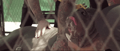 Nothing You Can Do To Me GIF by Stick To Your Guns