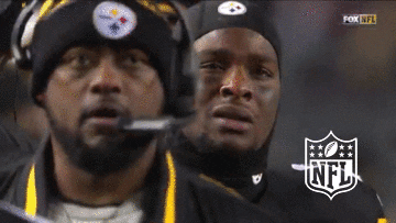 Pittsburgh Steelers Do Not Want GIF by NFL - Find & Share on GIPHY