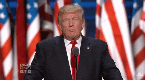 Giphy - Donald Trump Head Shake GIF by Election 2016