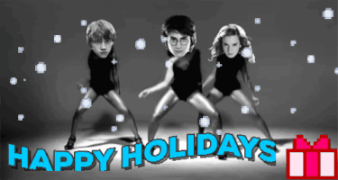 Harry Potter Happy Holidays GIF by emibob