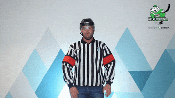 gyerehokizni hockey referee hoki jegkorong GIF