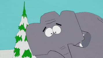 scared elephant GIF by South Park 