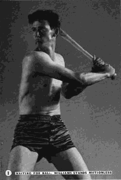 rbi baseball hitting ted williams GIF