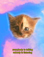 art cats GIF by PEEKASSO