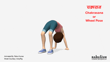 askrahulk #chakrasana #wheelpose #yogasana #yoga #asana #yogapose #yogaeveryday #yogaforall #yogaday #fitness GIF