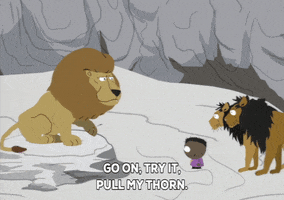 token black lion GIF by South Park 