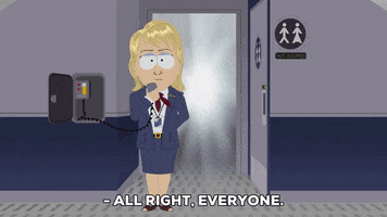 bathroom flight attendant GIF by South Park 