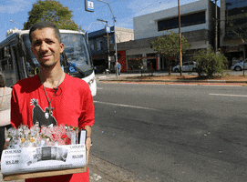 coabitar agencia sp mural onibus GIF