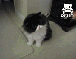GIF by Demic