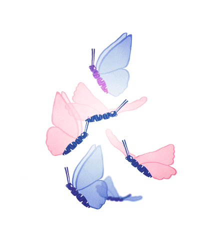 Animation Flying GIF by Anna - Find & Share on GIPHY