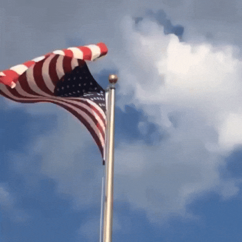 banjo757 american flag GIF