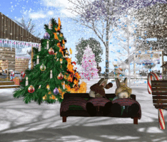anomaly3 funny bunny second life. christmas GIF