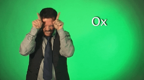 Sign Language Ox GIF by Sign with Robert - Find & Share on GIPHY