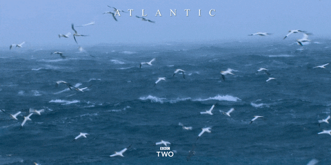 atlantic