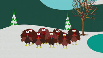 turkey GIF by South Park 