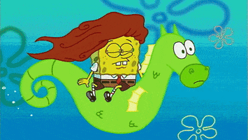 Bob Esponja GIF by SpongeBob SquarePants