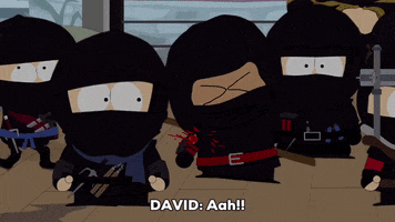 david ninja GIF by South Park 